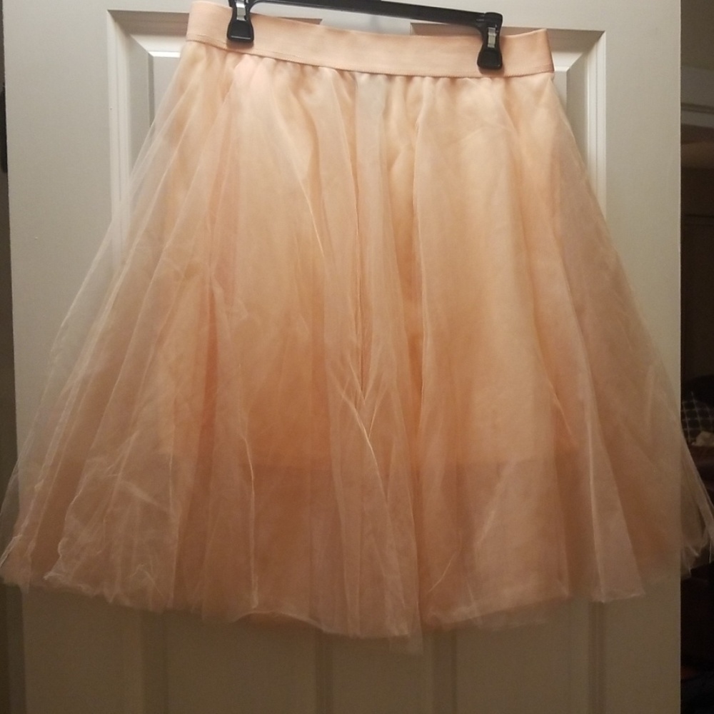 Baby pink Tulle Skirt